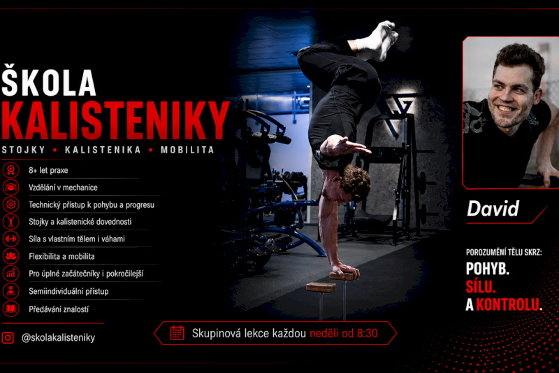 Lekce Kalisteniky (funkční cvičení s vlastní vahou)